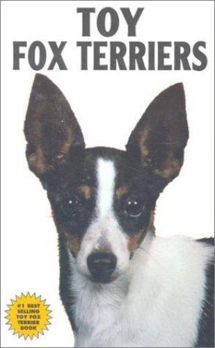 Toy fox terriers - by, sherry
