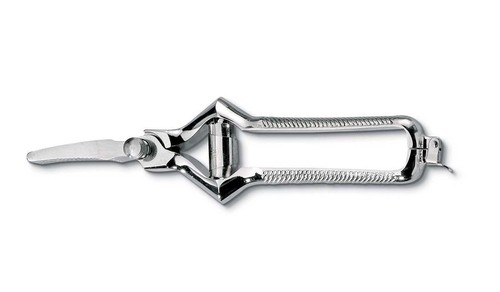 Masticatore nichelato forbice