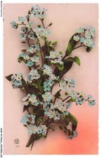 AUWP3-0213-FIORI - Bouquet Di