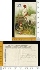 V4186] BUONA PASQUA EASTER GALLINA COVA UOVA E GALLO BIANCO CANTA - RILIEVO