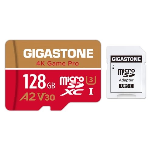 Gigastone scheda micro - scheda, sd