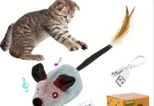 Gioco gatto topo - gioco, x