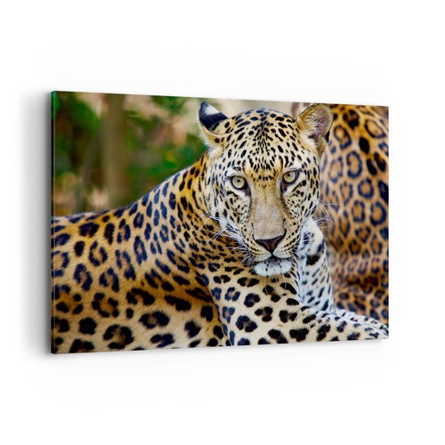 Quadro tela 120x80cm - quadro, su