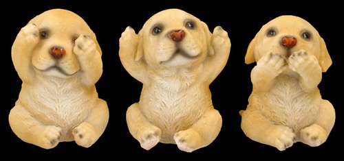 Labrador cani decorazione - cani,
