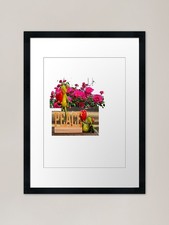 Stampa artistica con cornice