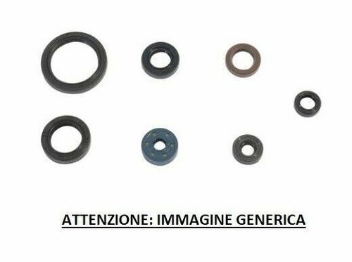 Athena kit paraoli motore - paraoli,