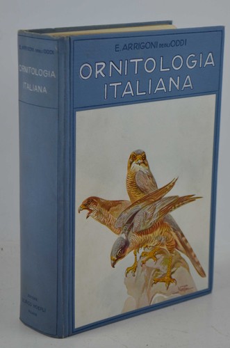 Arrigoni degli oddi - degli,
