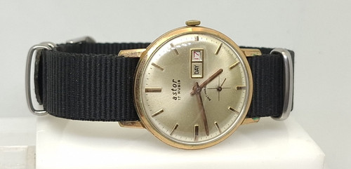 Astor day rare - 238, g