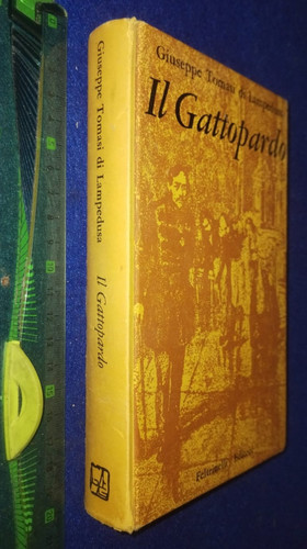 Libro gattopardo - libro🌎il,