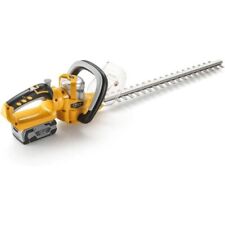 TAGLIASIEPE TAGLIASIEPI A