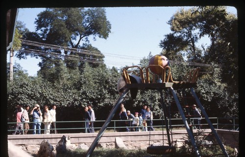 Sl31 scivolo 1980 orso panda - sl31,
