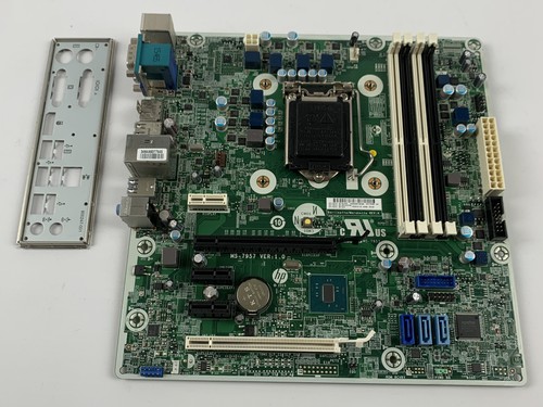 Scheda madre prodesk 490 - scheda, hp