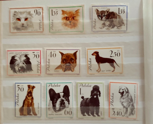 Set gatto cani 1968 vf - 1968, mnh
