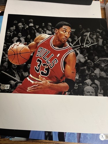 Foto autografata scottie - foto,
