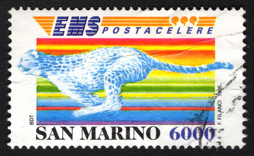San marino 1995 - san,