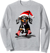 Divertente Bassotto Con