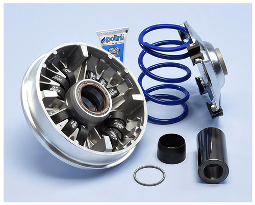 241 758 variatore - variatore, polini
