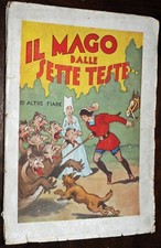 IL MAGO DALLE SETTE TESTE ED