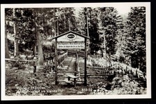 TIMAU (Udine). CARNIA. Cimitero Militare Austriaco. PAL PICCOLO. Non vg. 1939.