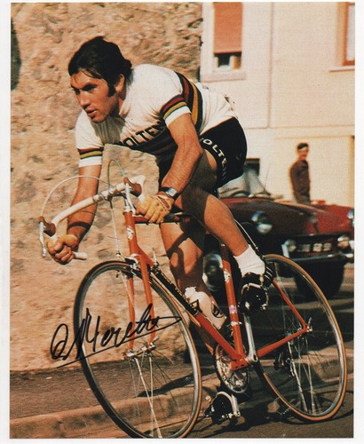 Eddy merckx foto autografata - merckx,