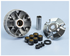 241.561 VARIATORE POLINI PER