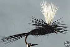 1 x paracadute nero mosca