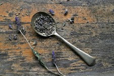 English Lavender Seeds Vera