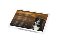 BORDER COLLIE Dog Fridge