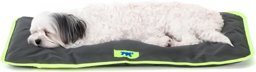 Cuccia cane gatto - e,