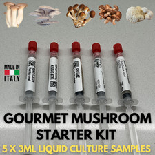 Kit Coltura Liquida Funghi