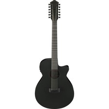 Ibanez AEG1221-BOT chitarra