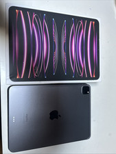ipad pro M2- 11’’ 4a generazione- Wi-Fi 256GB con cover e apple pencil + cavo
