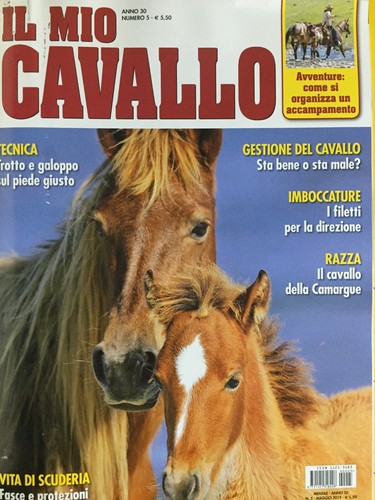 Mio cavallo 2019 - 2019, maggio