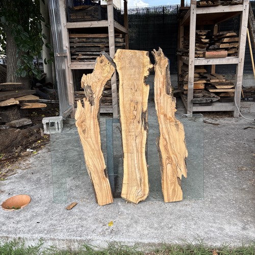 Tavole legno ulivo 3 - legno, di