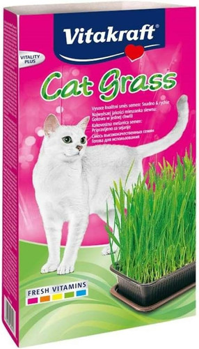 Cat grass miscela semi - grass,,