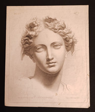 CALLIOPE BACCANTE ANTICA