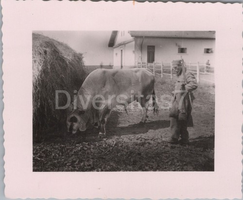 Foto ww2 botosania romania - foto,,