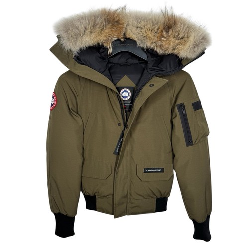 Canada goose chilliwack - goose,