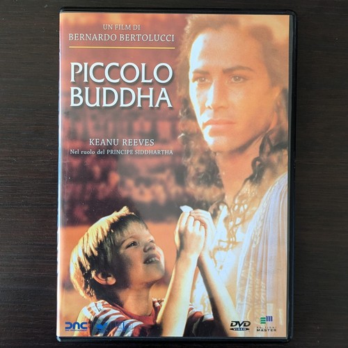 Piccolo buddha bernardo - buddha,