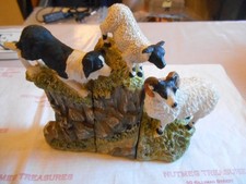 Border Collie Dog Herding