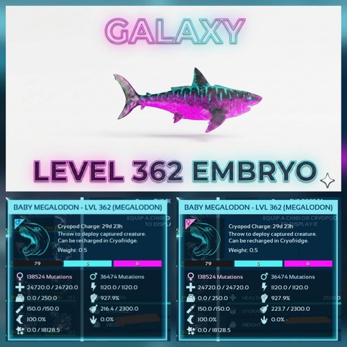 Megalodon top stats - top,