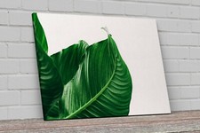 Quadro Stampa su tela fine art Piante tropicali arredamento casa home decor
