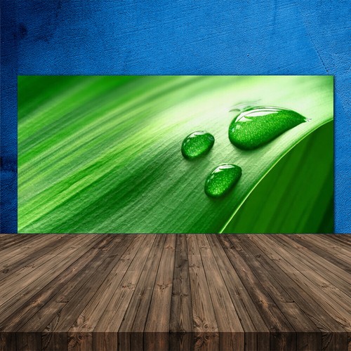 Splashback paraschizzi - splashback,
