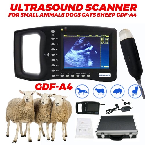 Scanner ecografico veterinario