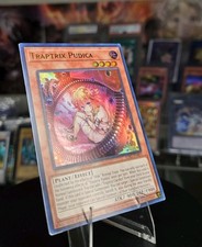 Yu-Gi-Oh! Traptrix Pudica