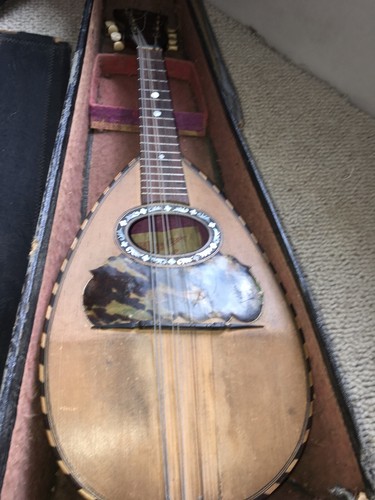 Giuseppe gandolfi mandolino - gandolfi,