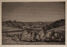 Walter Conz paesaggio campi