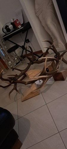 Lampadario con corna - lampadario,