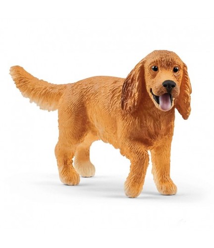 Cocker spaniel inglese - cocker,