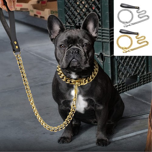 Guinzaglio collare per cani - collare,